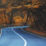 road, curve, trees, highway, leaves, avenue, lane, pavement, autumn, foliage, natural, forest, autumn leaves, autumn foliage, autumn colors, fall leaves, fall foliage, fall colors, nature, road, road, road, road, road, highway, highway, autumn